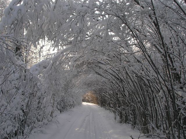 Охотничья заимка в Коно