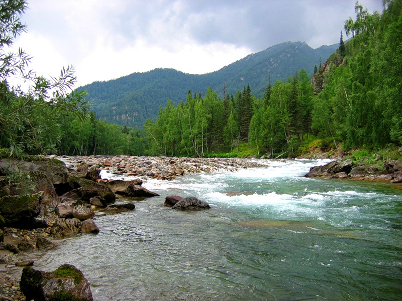 Реки Алтая