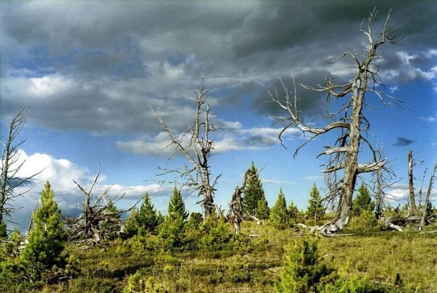 Велопоход по Алтаю. Часть вторая.