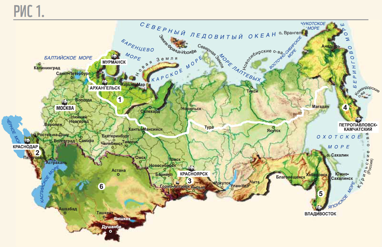 Стратегия Всемирного фонда дикой природы (WWF) 2013 – 2017