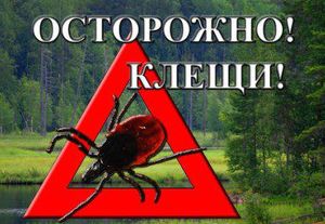/Risunci/67/ostorozhnej_na_altae-kleshhi.jpg