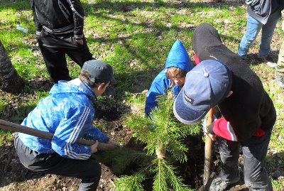 Акция WWF "Посади свой кедр!" прошла в Артыбаше