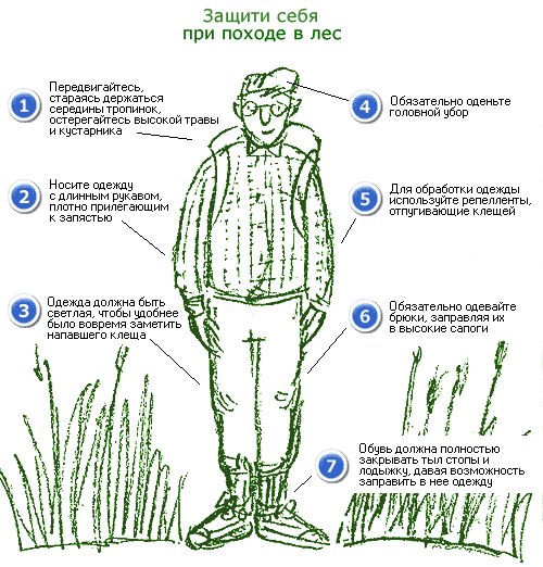 Осторожно, клещевой энцефалит на Алтае
