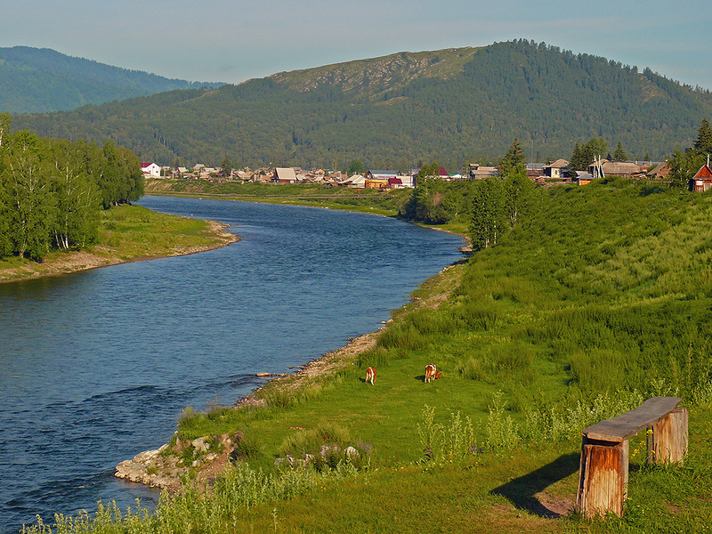 Село Усть-Кокса