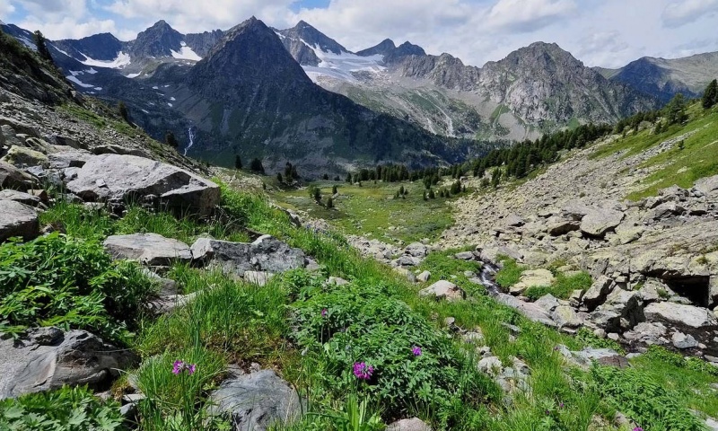 Мультинские зарисовки...