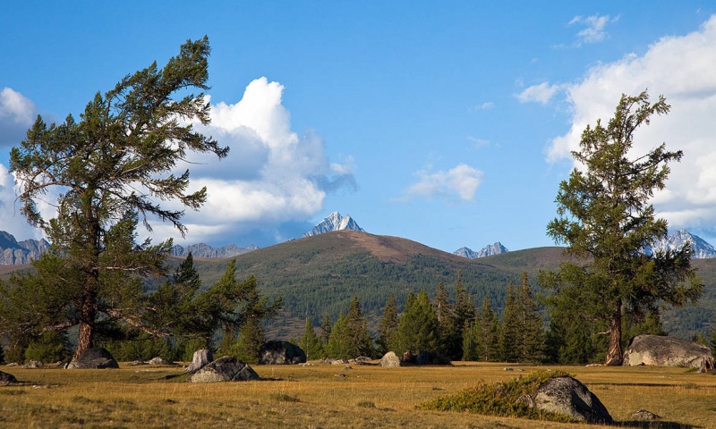 Иикту в обрамлении...