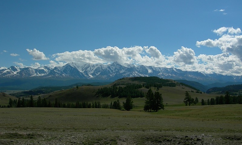 Курайская степь.Лето