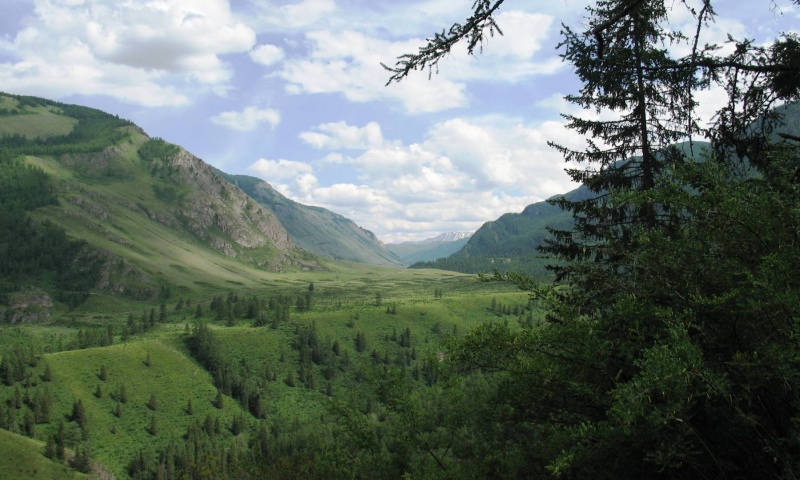 Горное плато