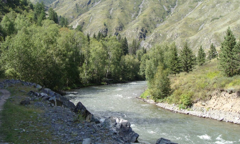 Река Аргут