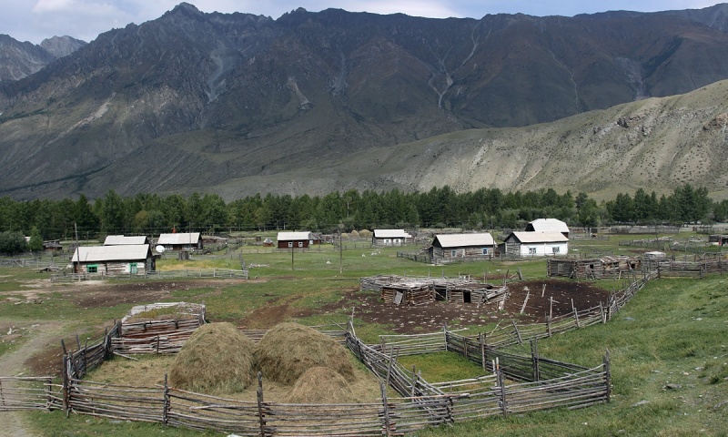 Село Аргут