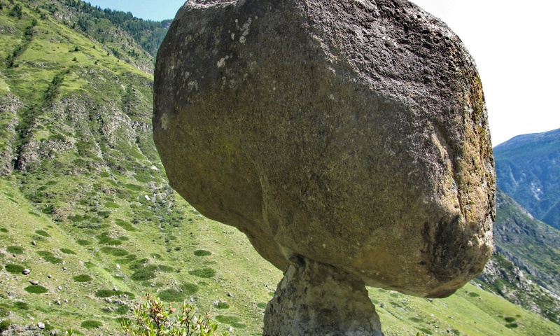 Каменные грибы аккурум