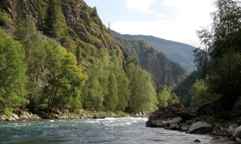 Сумульта