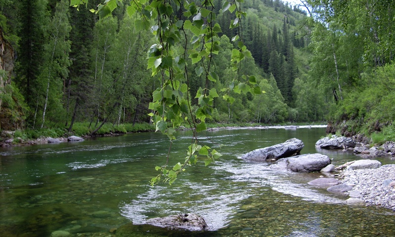 Река Кумир