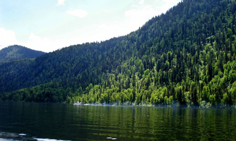 Райское местечко Телецкое озеро....