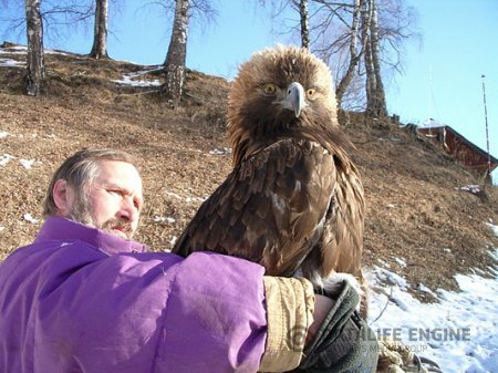 На Алтае начнут развивать новое направление экотуризма