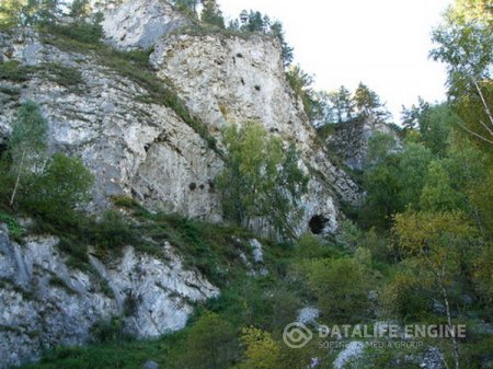 Туристический комплекс "Березовая Катунь"