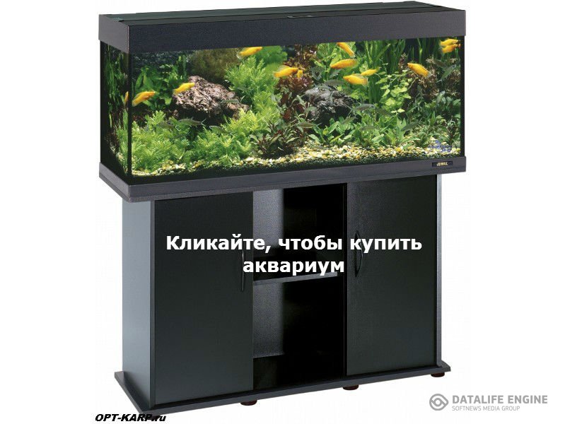 Внутренний фильтр для аквариума Внутренний фильтр для аквариума